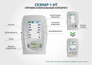 СКЭНАР-1-НТ (исполнение 01)  в Кстове купить Скэнар официальный сайт - denasvertebra.ru 