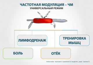СКЭНАР-1-НТ (исполнение 01)  в Кстове купить Скэнар официальный сайт - denasvertebra.ru 
