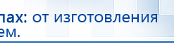 СКЭНАР-1-НТ (исполнение 02.1) Скэнар Про Плюс купить в Кстове, Аппараты Скэнар купить в Кстове, Скэнар официальный сайт - denasvertebra.ru